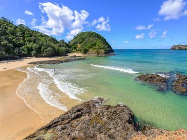 Tutukaka Coast