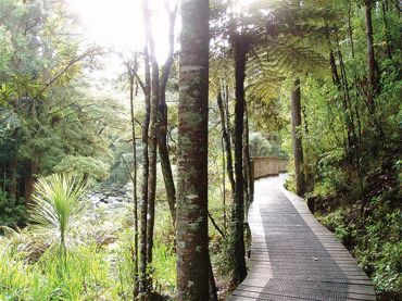 Hātea River Walkway