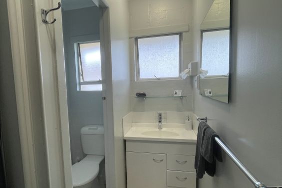 Large 1-Bedroom Unit bathroom